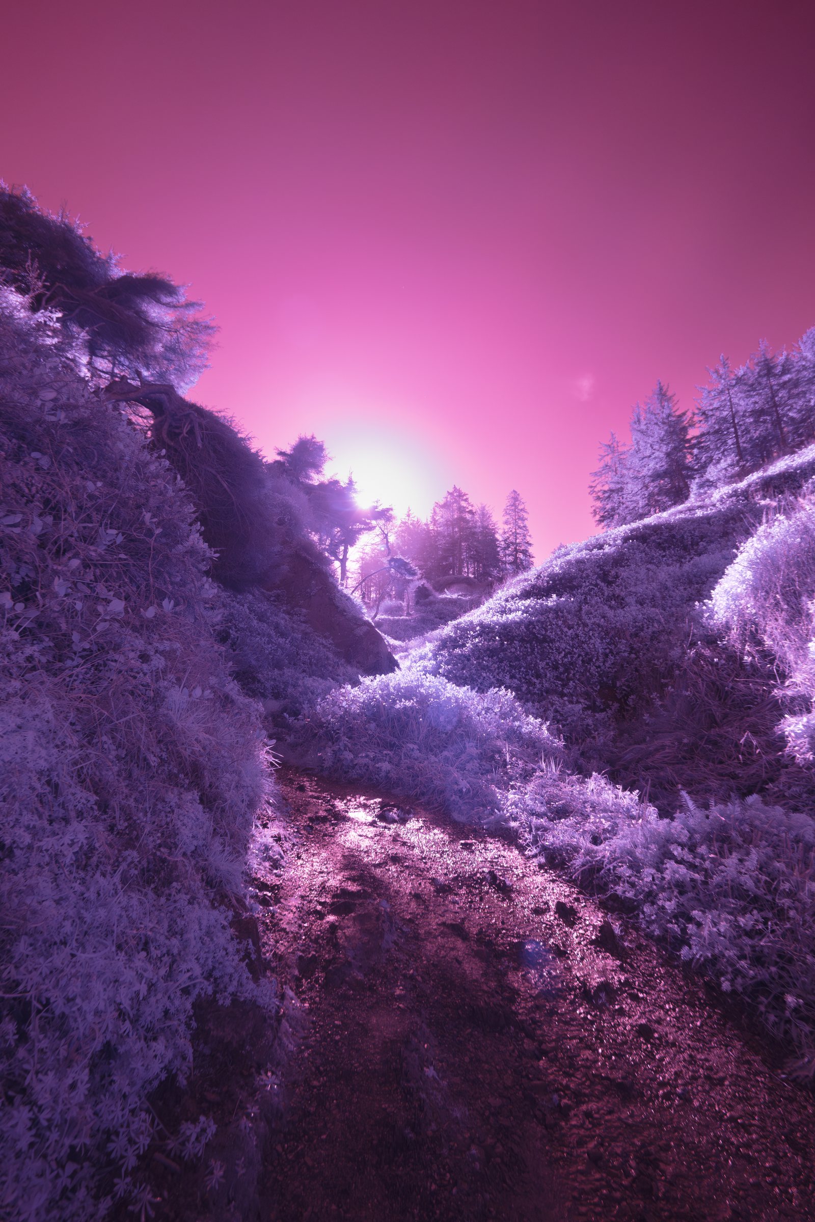 A waterfall glowing in an infrared mountain landscape