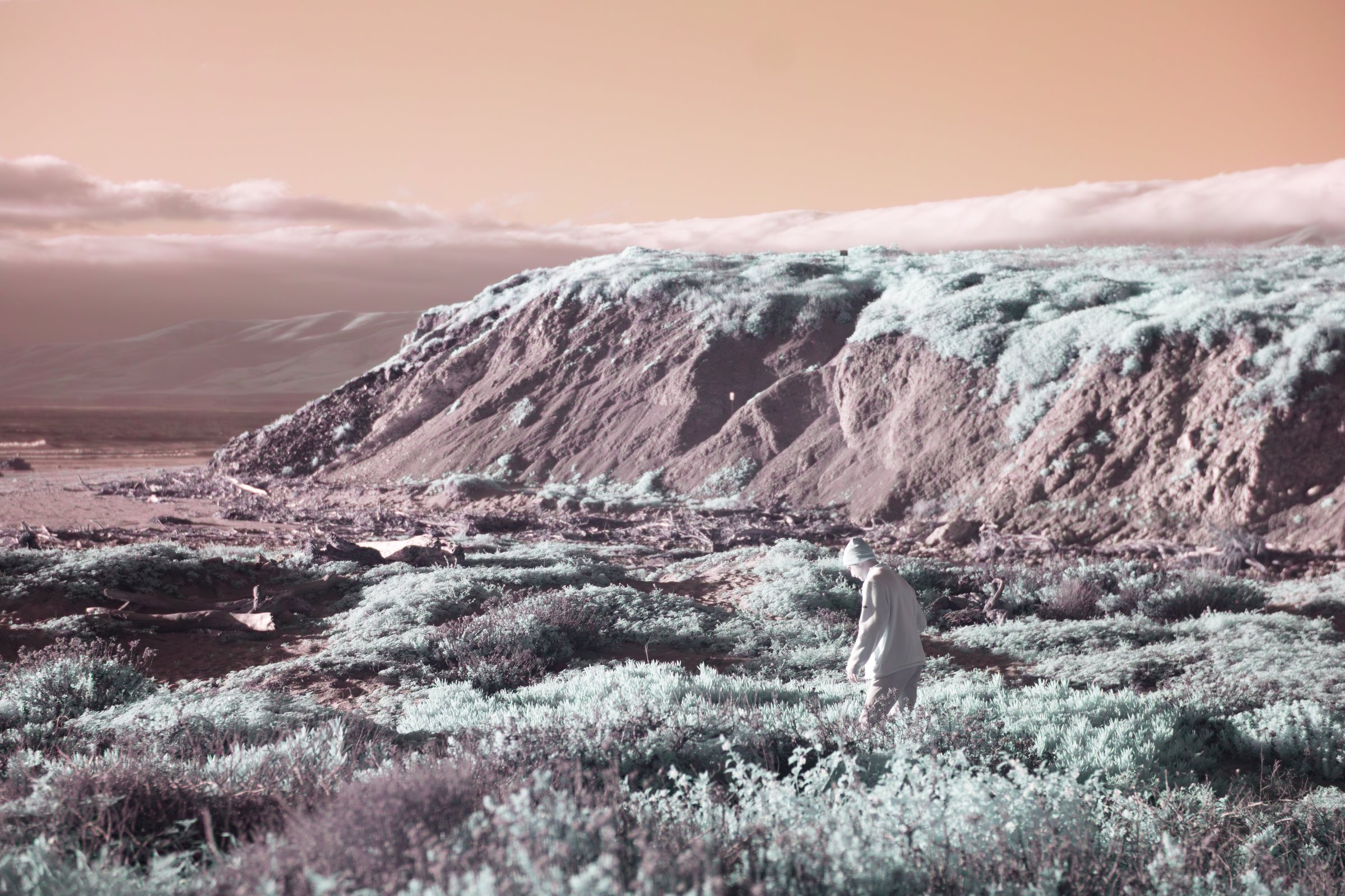 A lone figure crossing a surreal infrared landscape