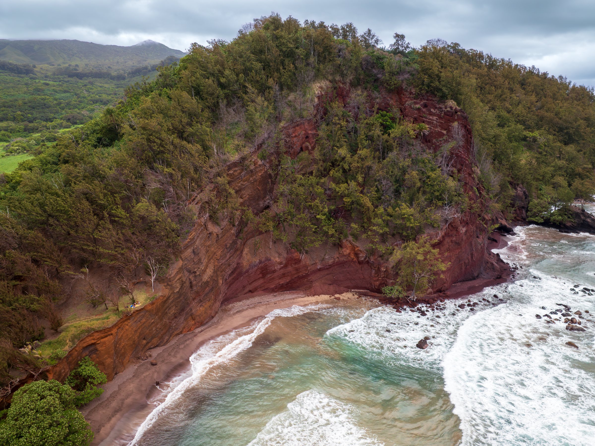 Aerial view over a lush volcanic cove