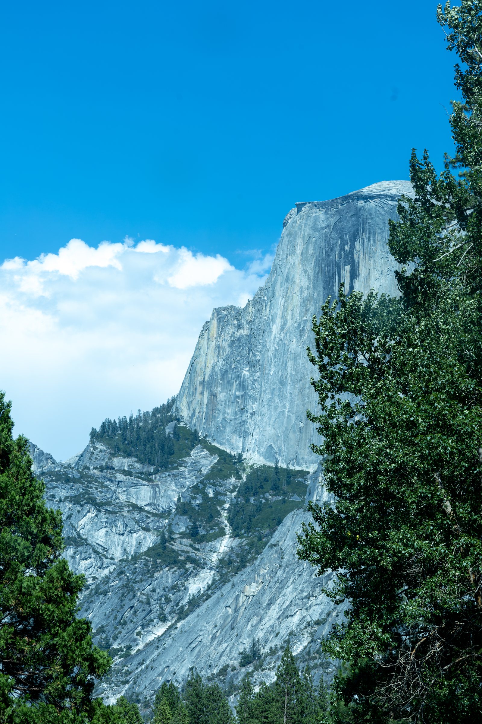 Yosemite Falls framed by granite cliffs